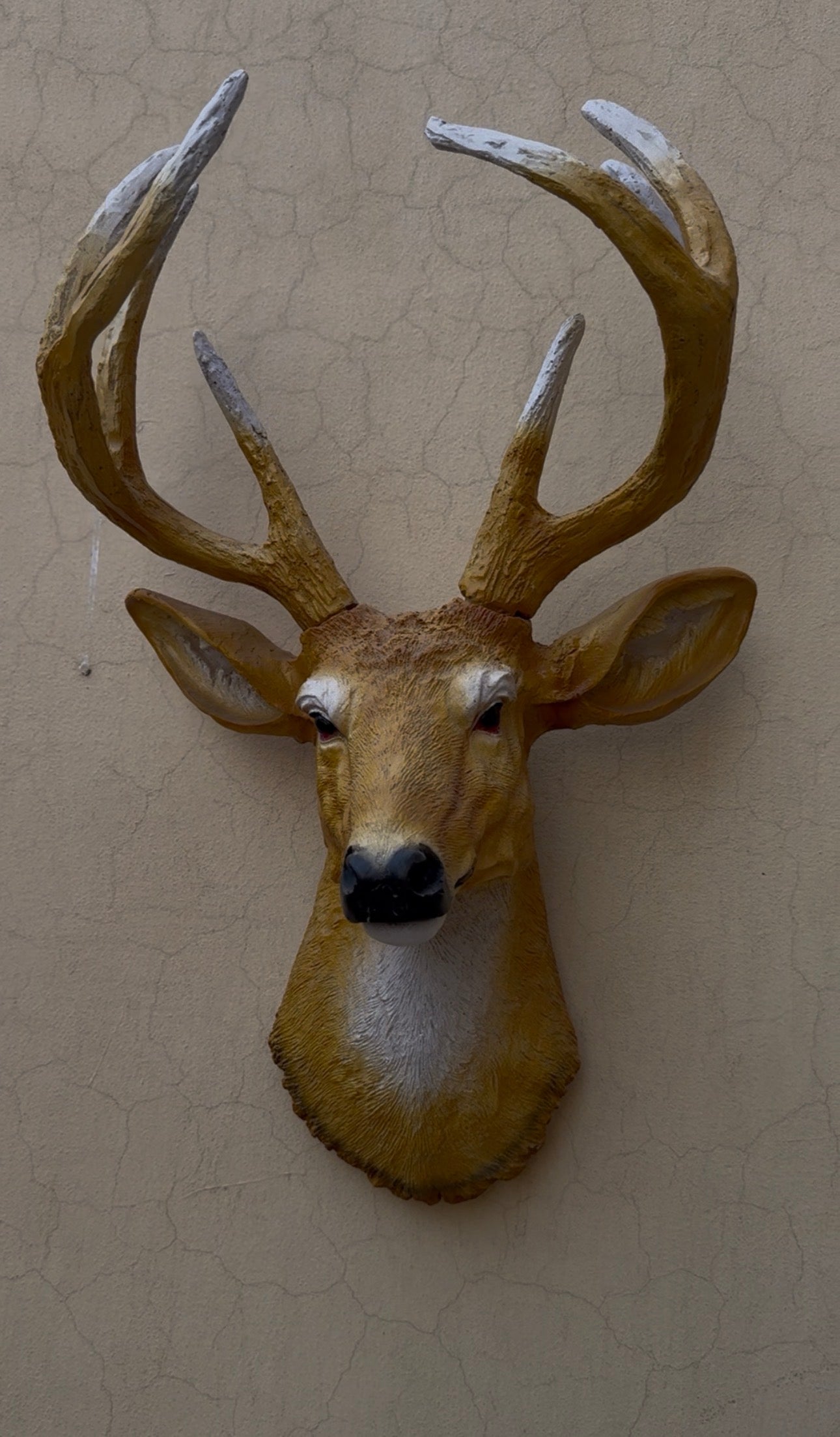 Luxury Deer Head Wall Decor – Premium Stag Wall Mount Sculpture